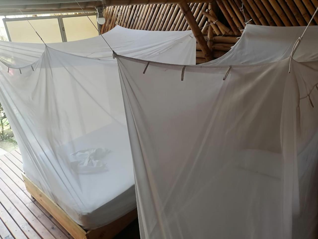 Cabana Beach פאלומינו מראה חיצוני תמונה