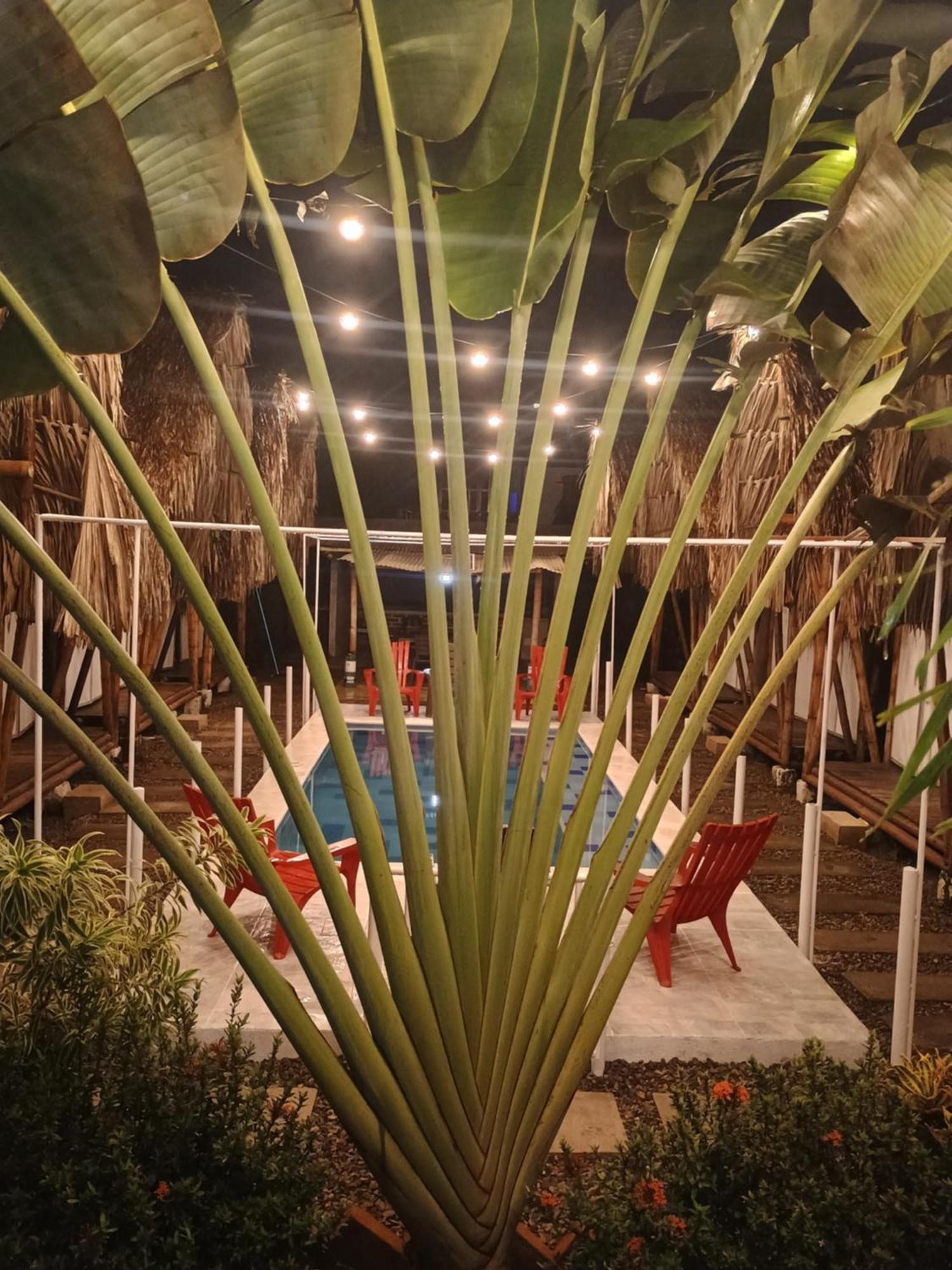 Cabana Beach פאלומינו מראה חיצוני תמונה